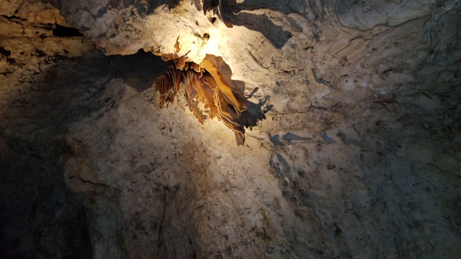 Carlsbad Caverns 